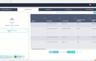 VizualSurvey screenshot 2
