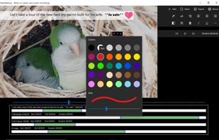VideoMarkup screenshot 1