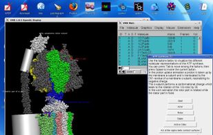 VMD - Visual Molecular Dynamics screenshot 1