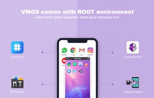 Root