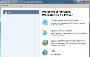 VMware Workstation Player screenshot 1