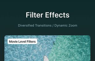 VN Video Editor screenshot 2