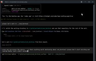 vnm_terminal screenshot 1