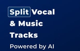 Vocal Remover AI screenshot 2