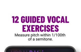 VocalBase screenshot 2