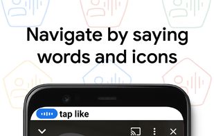 Voice Access screenshot 1