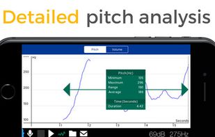 Voice Analyst screenshot 1