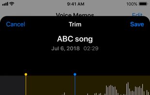 Voice memos screenshot 1