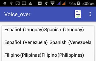 Voice-over screenshot 2