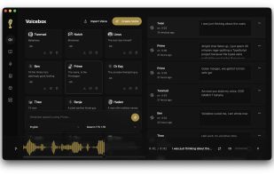 Voicebox Studio screenshot 2