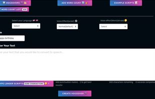 Voiceover maker usage 