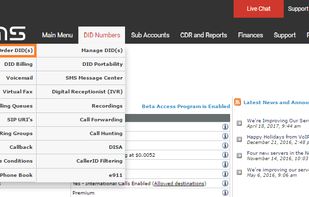 Easy and quick ordering of phone number (DID)