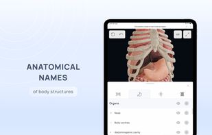 VOKA Anatomy Pro screenshot 3