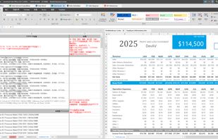 Vole Excel is editing a Chinese excel and a English excel documents.