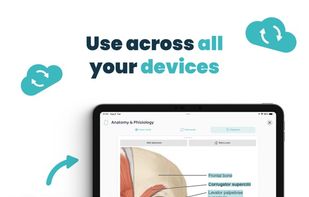 Voovo: AI Study Flashcards screenshot 1