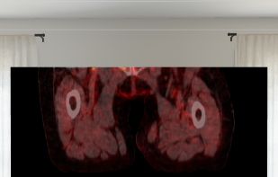 VoxelVision screenshot 3