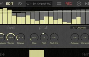 VoxSyn screenshot 1