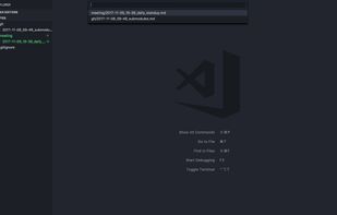 VSNotes screenshot 1