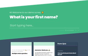 Vue Flow Form screenshot 1
