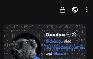 Profile as seen by the user on mobile