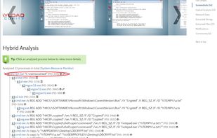 VxStream Sandbox screenshot 2