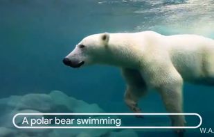 W.A.L.T Video Diffusion screenshot 1