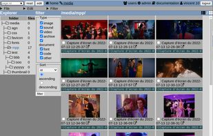 Media manager interface