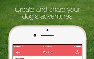 Wagtail screenshot 1