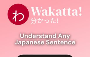 Understand Any Japanese Sentence