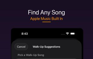 Walk up songs screenshot 1