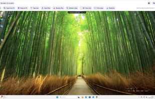 Walkie Desk screenshot 1