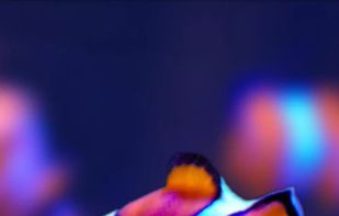 Walloop 3D Live Wallpapers screenshot 1