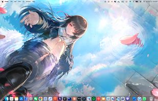 Wallpaper applied on my mac