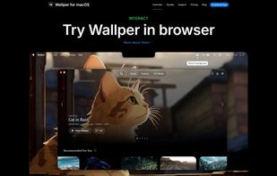 Wallper screenshot 1