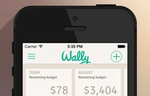 Wally-Smart Personal Finance screenshot 1