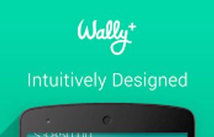 Wally-Smart Personal Finance screenshot 2