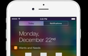 Wants and Needs screenshot 2