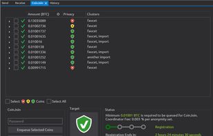 Wasabi Wallet screenshot 2