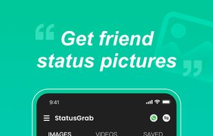 WAStatusGrab screenshot 1