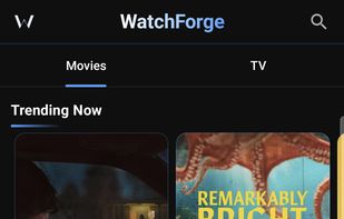WatchForge screenshot 2