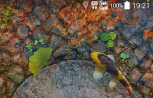 Water Garden Live Wallpaper screenshot 3