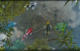 Water Garden Live Wallpaper screenshot 1