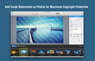 Watermark Plus screenshot 2