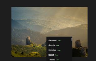 Choose font for the watermark
