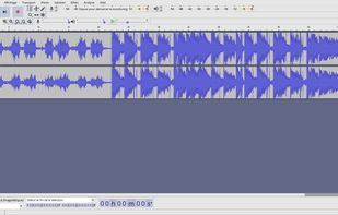 Wavacity screenshot 1