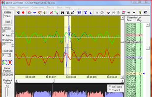 Wave Corrector screenshot 1
