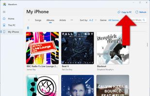 Copy music from iPhone to PC.