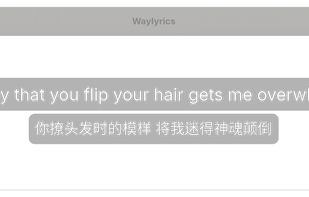 Waylyrics screenshot 1