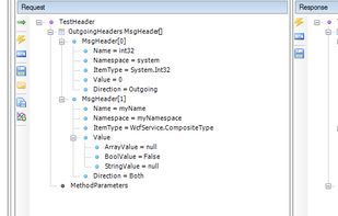 WCFStorm Lite screenshot 1