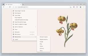 Web Archives screenshot 1